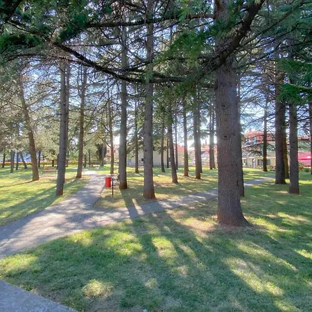 Apartman Romana 2 Stari *